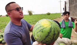 56吃瓜网,揭秘娱乐圈最新热点，带你领略明星幕后故事